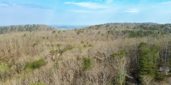 Image 3: DJI_0268