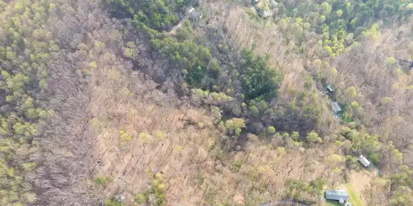Image 4: DJI_0274