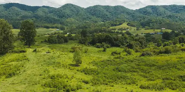 Image 2: DJI_20260810150110_0535_D