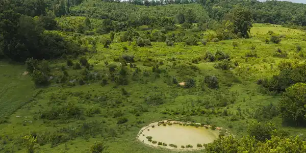 Image 3: DJI_20260810145539_0521_D