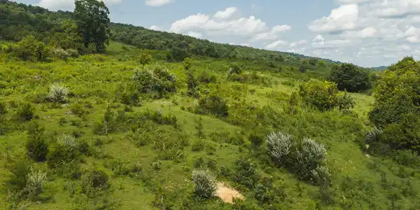 Image 4: DJI_20260810145755_0525_D