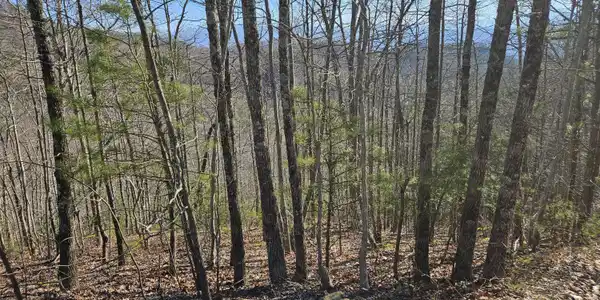 Alpine Dr. Lot 7 Drive