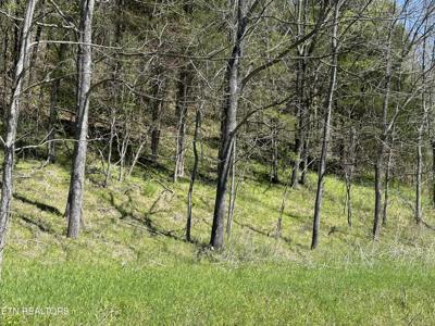 War Creek Rd