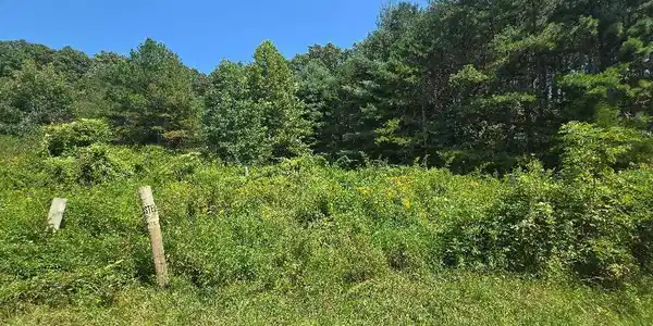 Image 2: 18