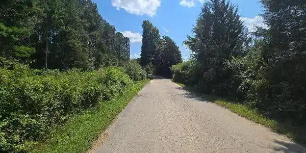 Image 3: 19