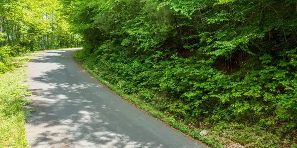 Running Bear Road