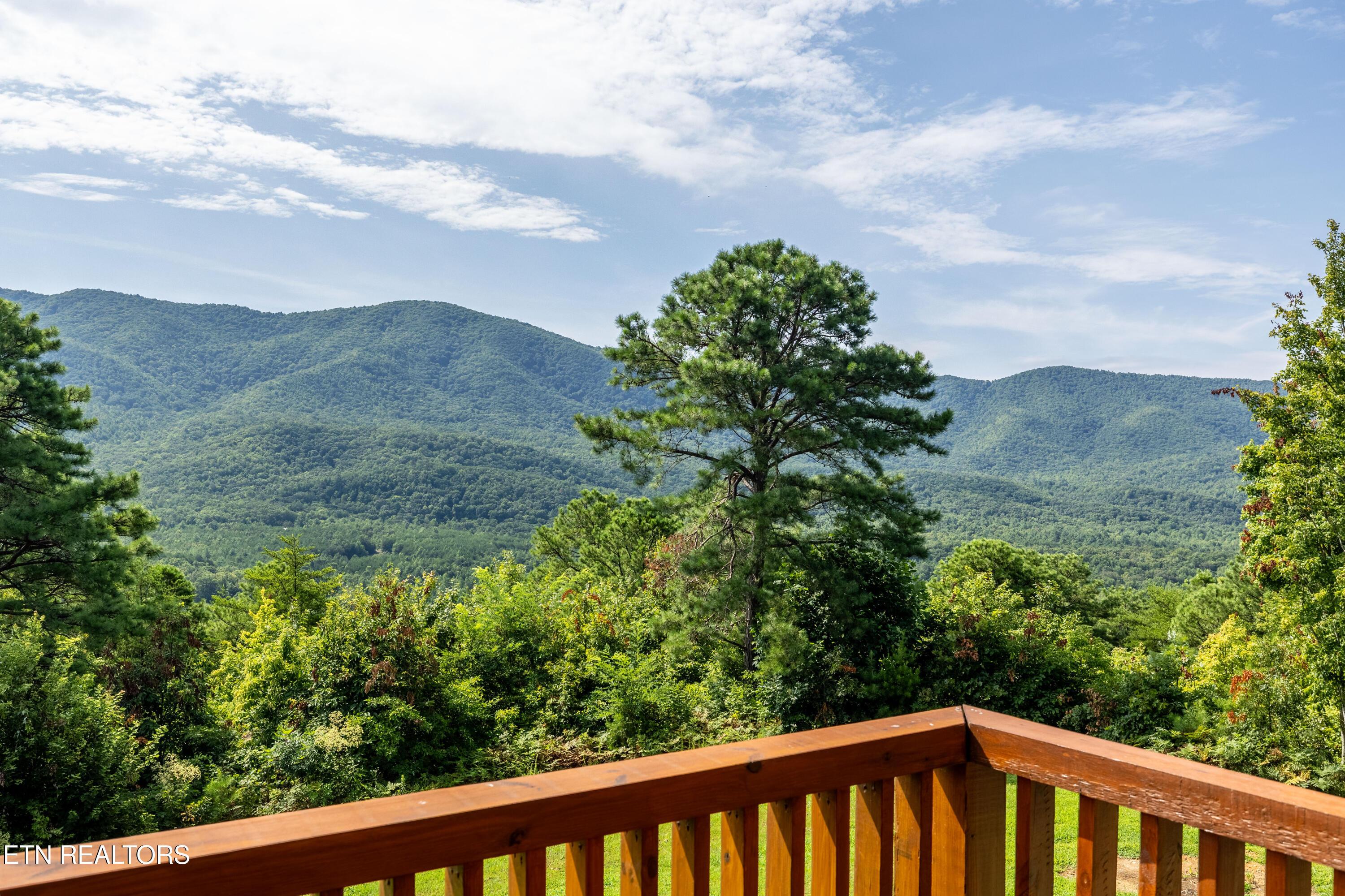 Image 3: 1099Smithfield-42