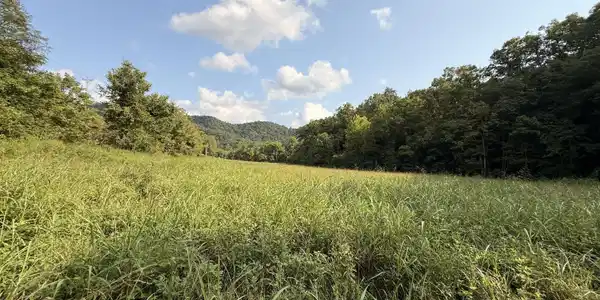 000 Flower Gap Rd