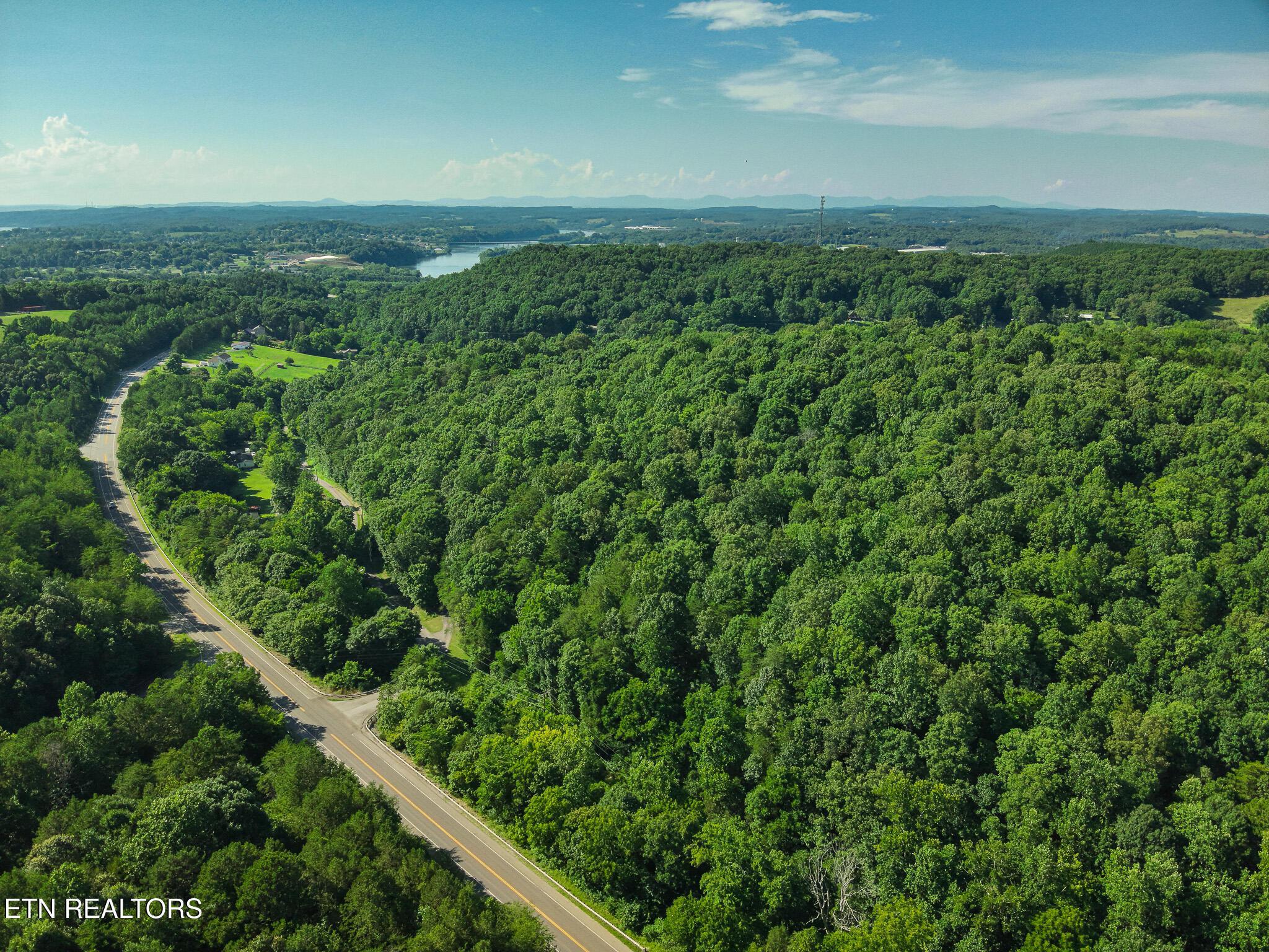 Image 4: DJI_20250711162428_0012_V