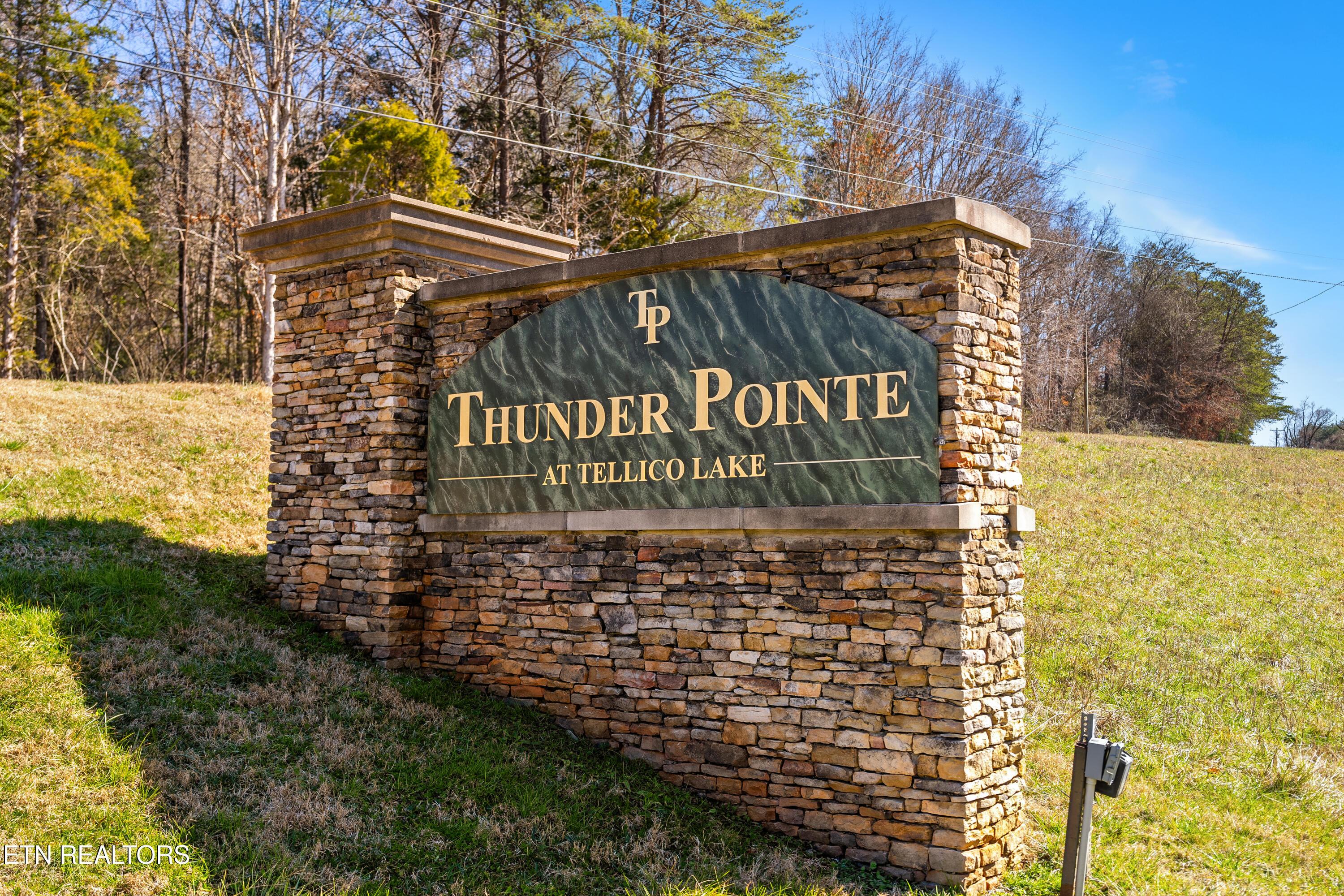 Image 3: Thunder Pointe at Tellico Lake
