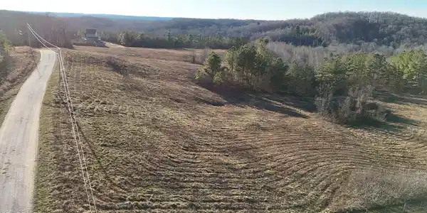 Image 4: 4