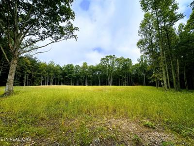 89.5 Ac Mose Beaty Rd