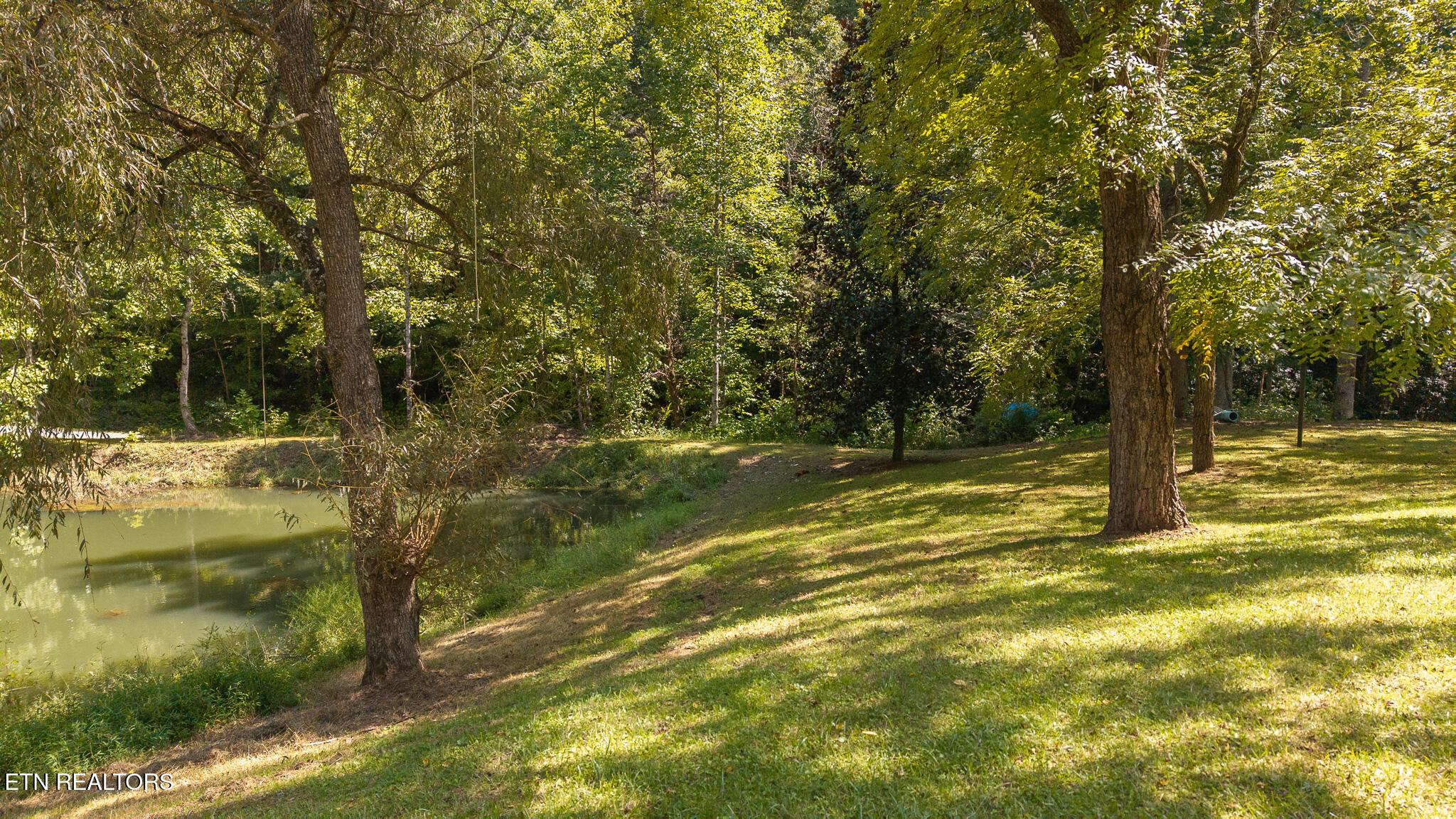 Image 3: DJI_20250908144718_0010_D