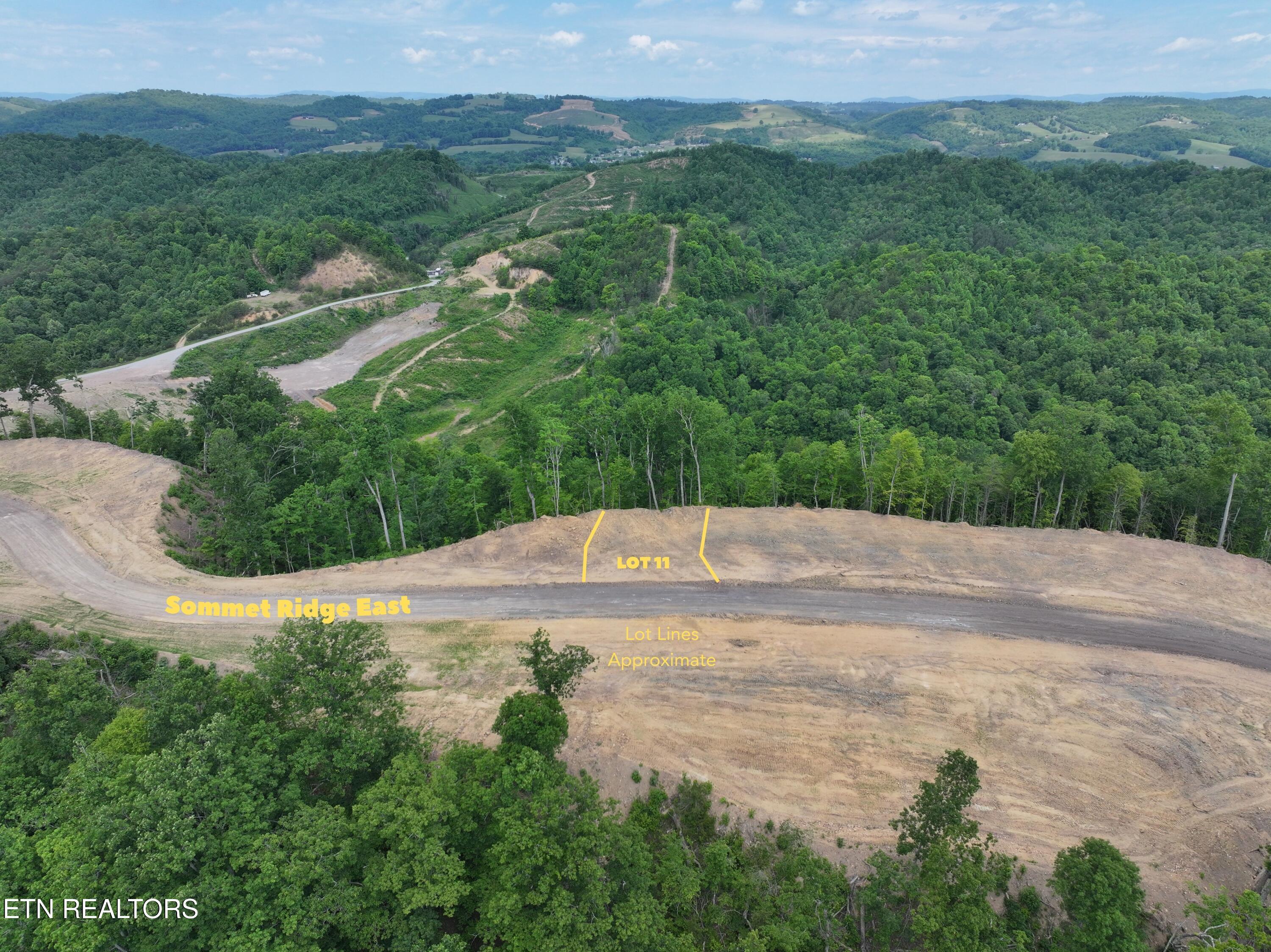 Image 3: LOT 11