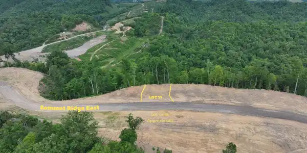 Image 3: LOT 11