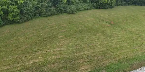 Image 2: dji_fly_20260713_141616_0088_17840543454