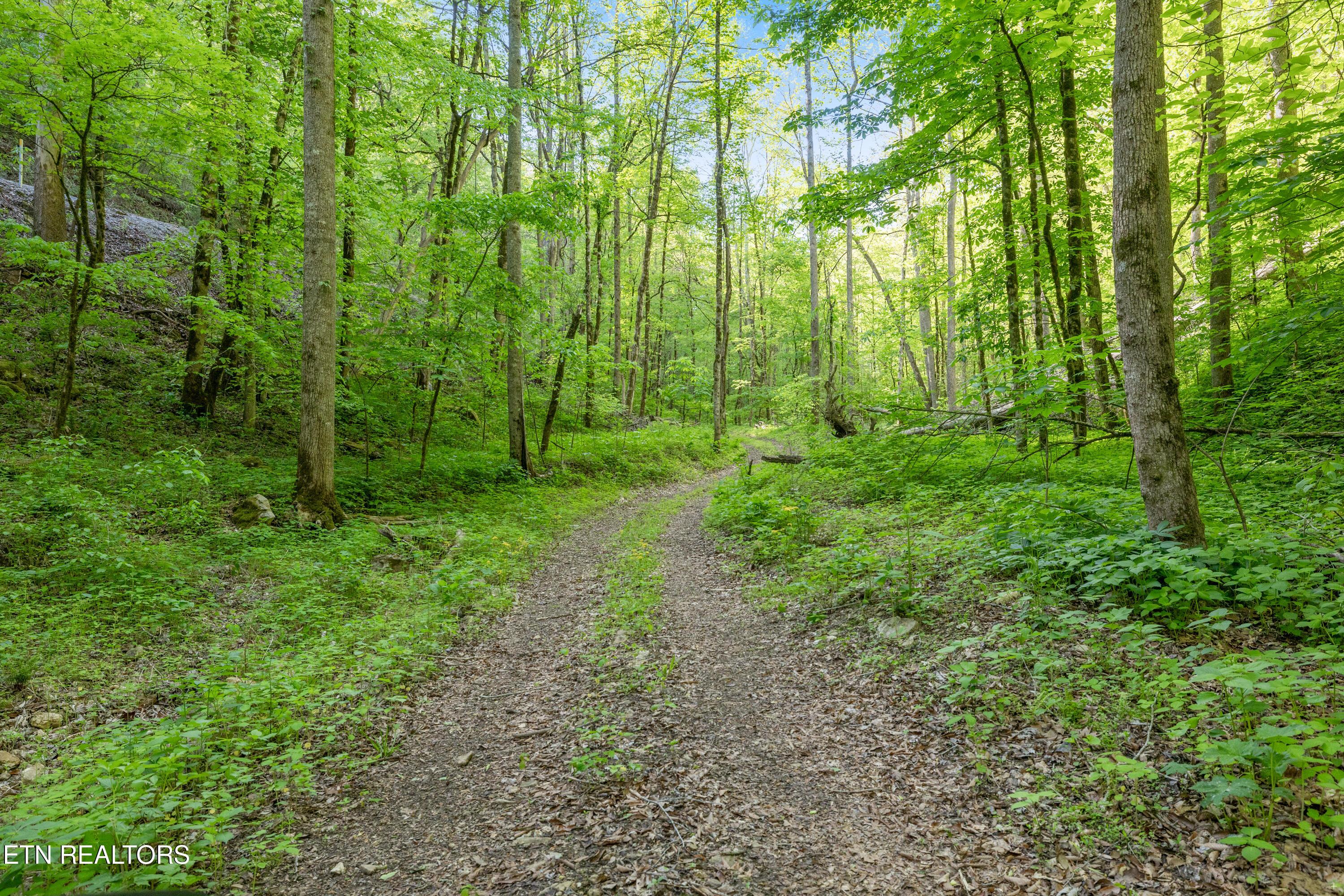 Image 1: Bunch Hollow Acreage