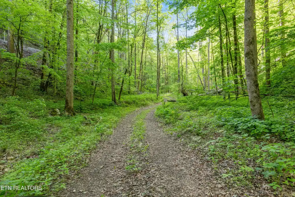 Image 1: Bunch Hollow Acreage