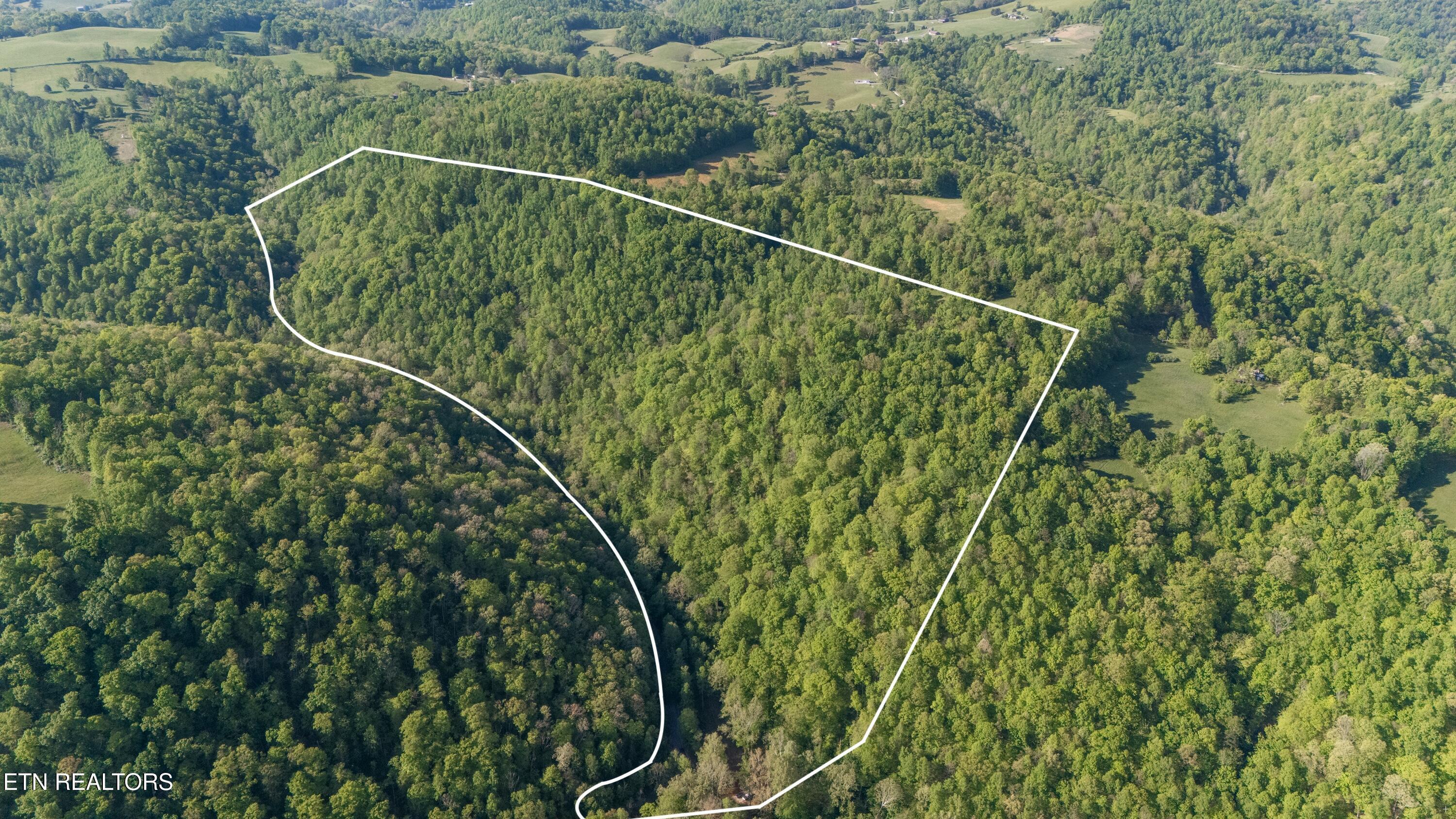 Image 2: Bunch Hollow Acreage