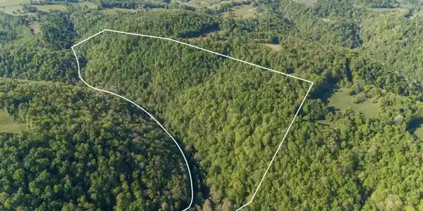 Image 2: Bunch Hollow Acreage