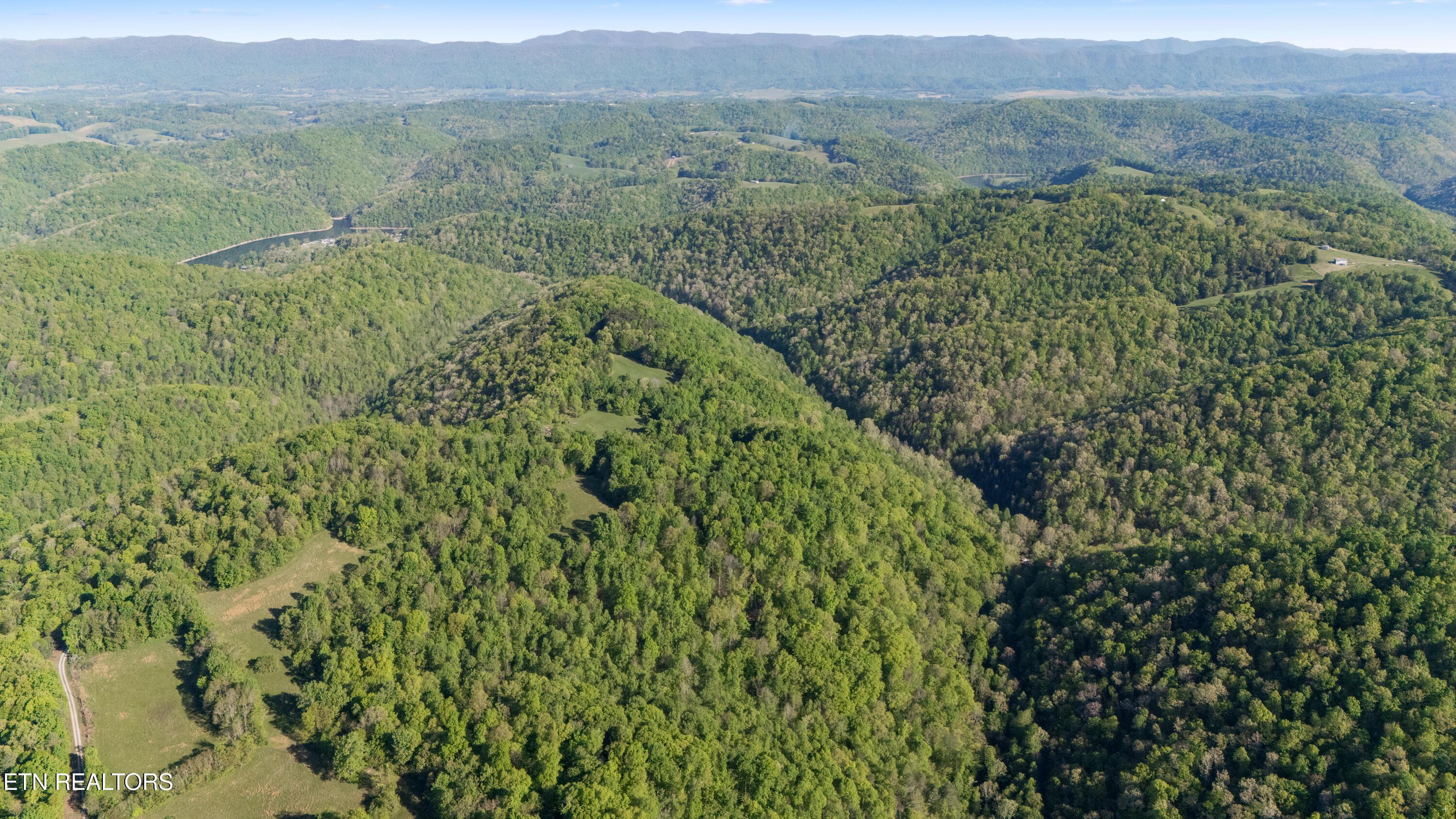 Image 3: Bunch Hollow Acreage