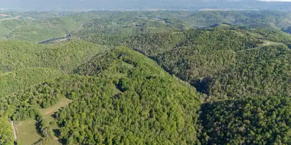 Image 3: Bunch Hollow Acreage