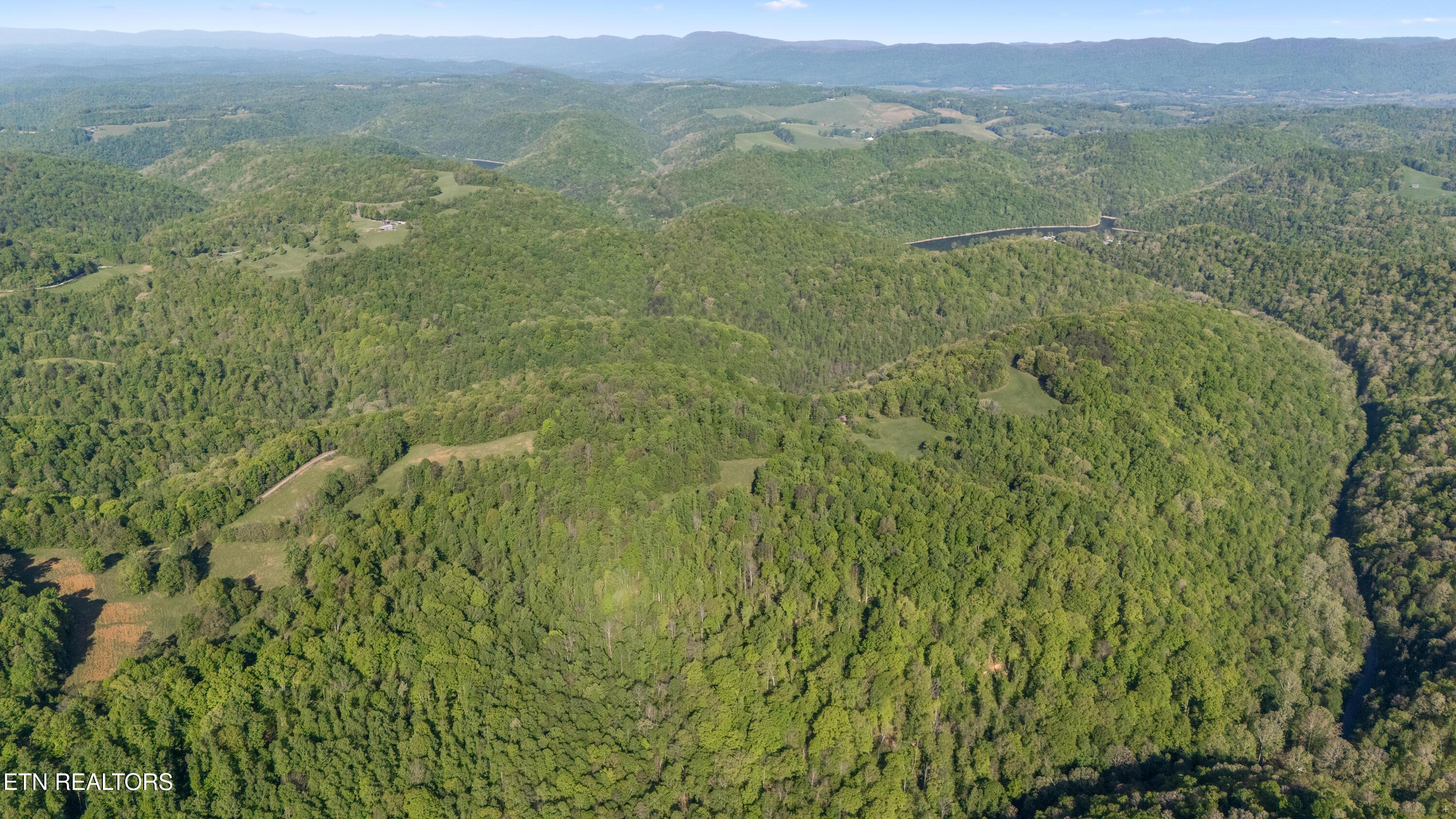 Image 4: Bunch Hollow Acreage