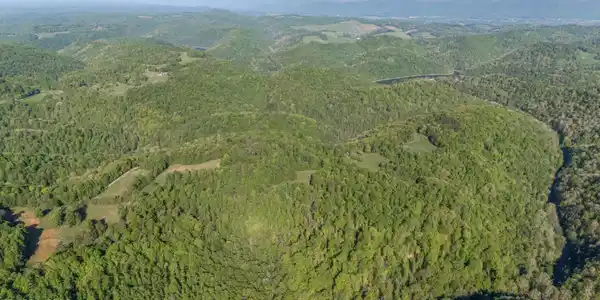 Image 4: Bunch Hollow Acreage
