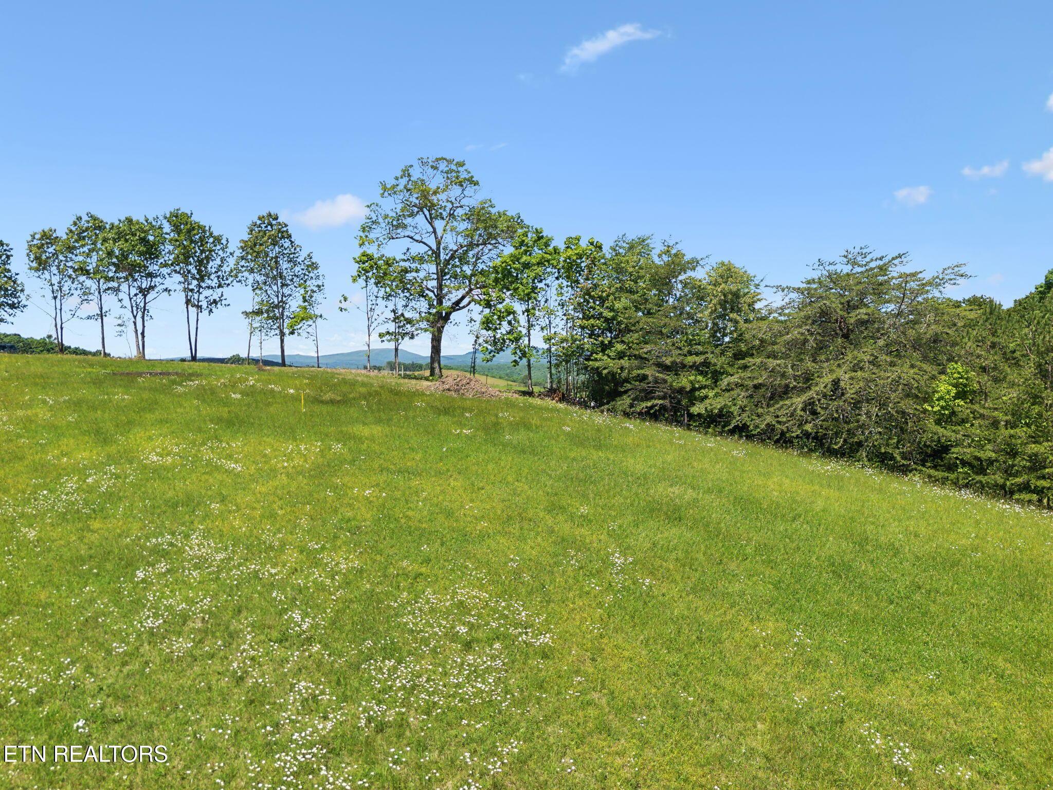 Image 1: Mountain View