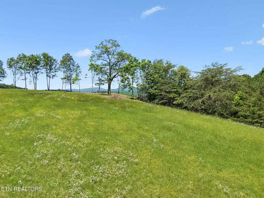Image 1: Mountain View