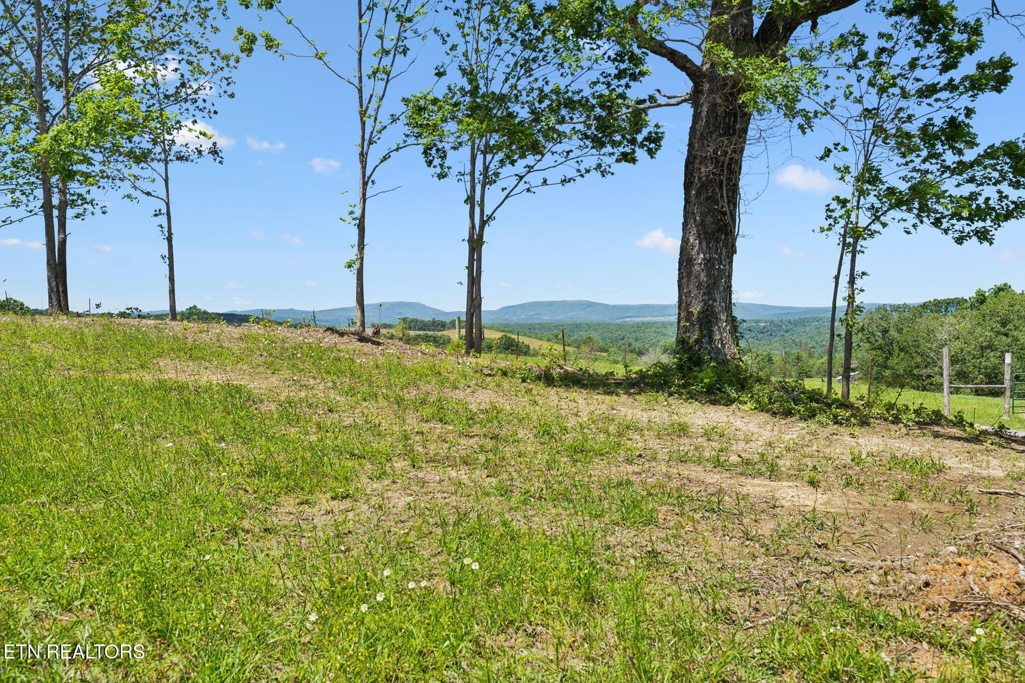 Image 3: Mountain View