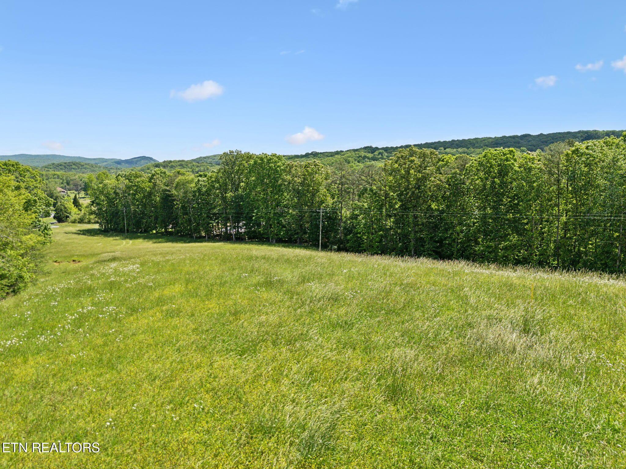 Image 4: Rolling Fields