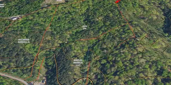 Maples Branch Rd