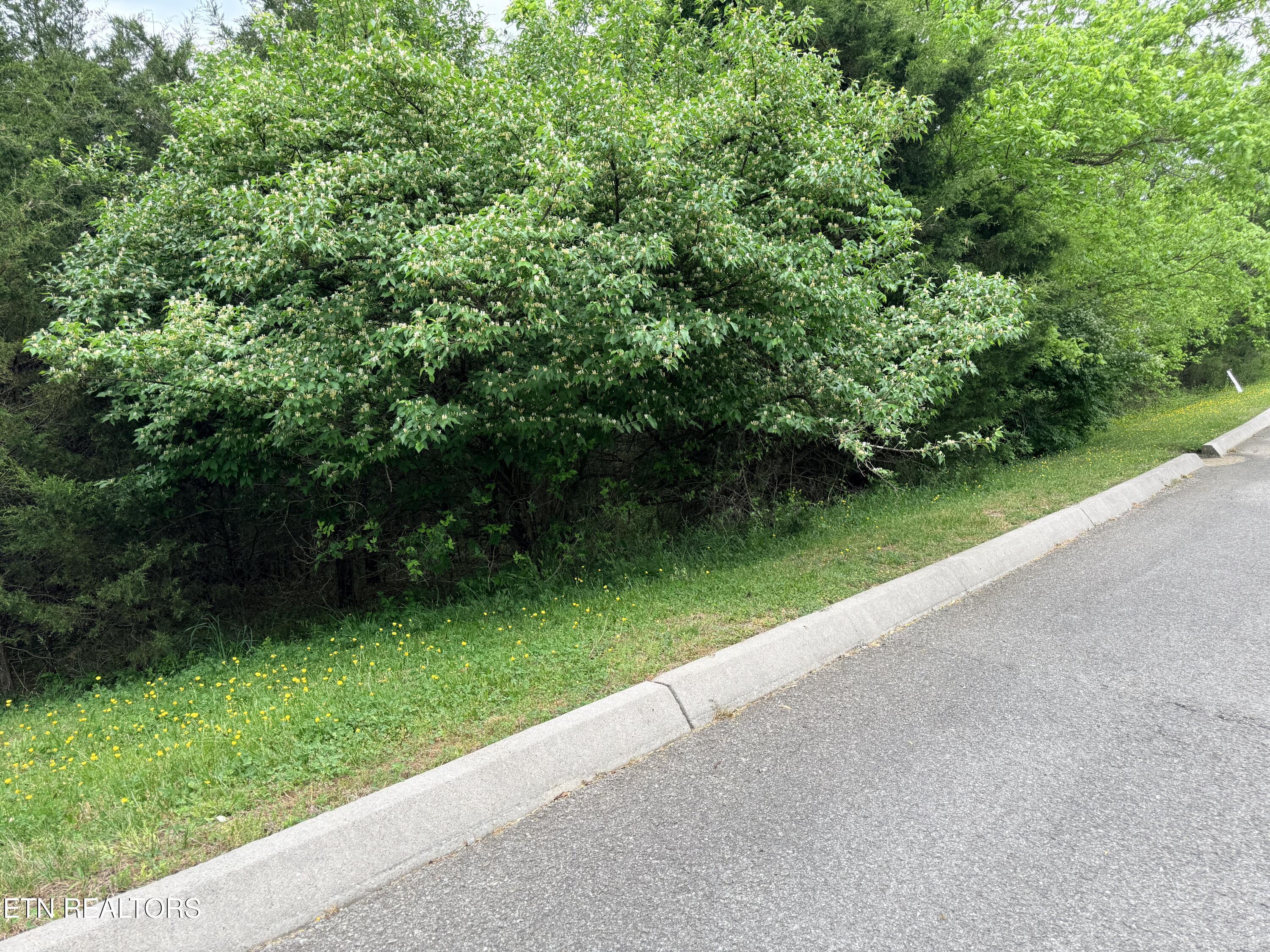 Image 1: Lot 206 Wedge Way