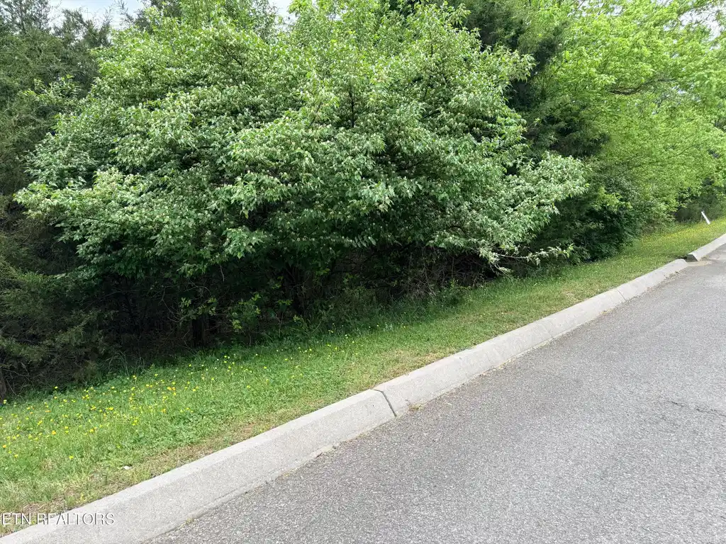 Image 1: Lot 206 Wedge Way
