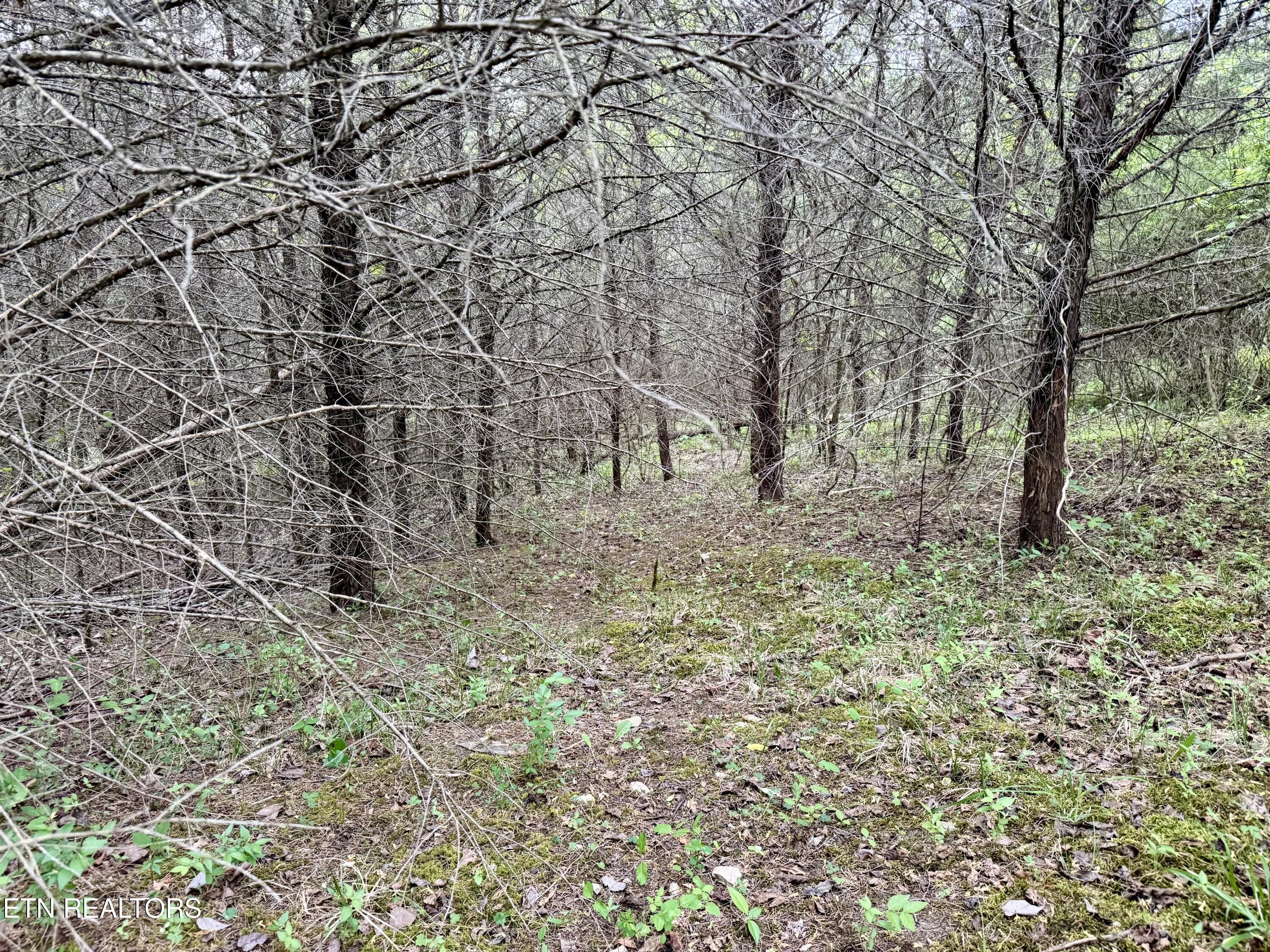 Image 2: Lot 206 Wedge Way
