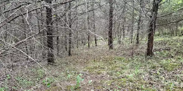 Image 2: Lot 206 Wedge Way