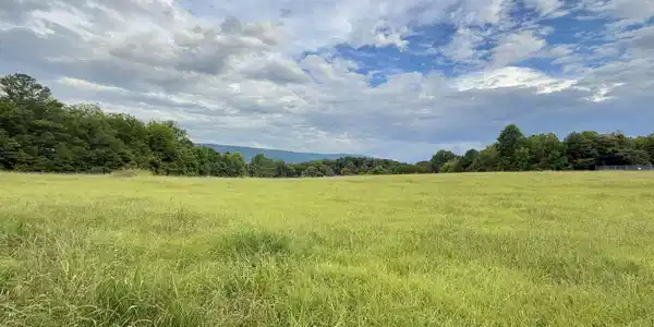Image 2: 4