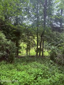 Chambers Rd