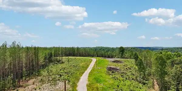 Image 2: 17-1859 Nydeck Trail - Lot 2 - 017