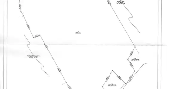 Image 2: survey