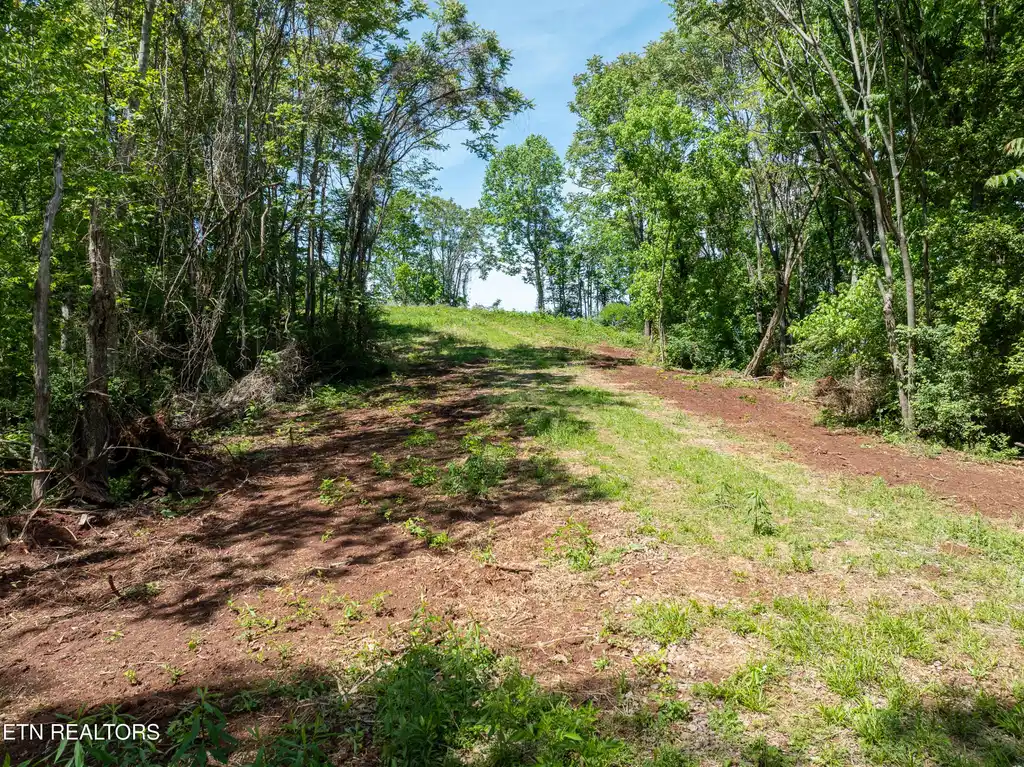 Image 1: DJI_0066-HDR