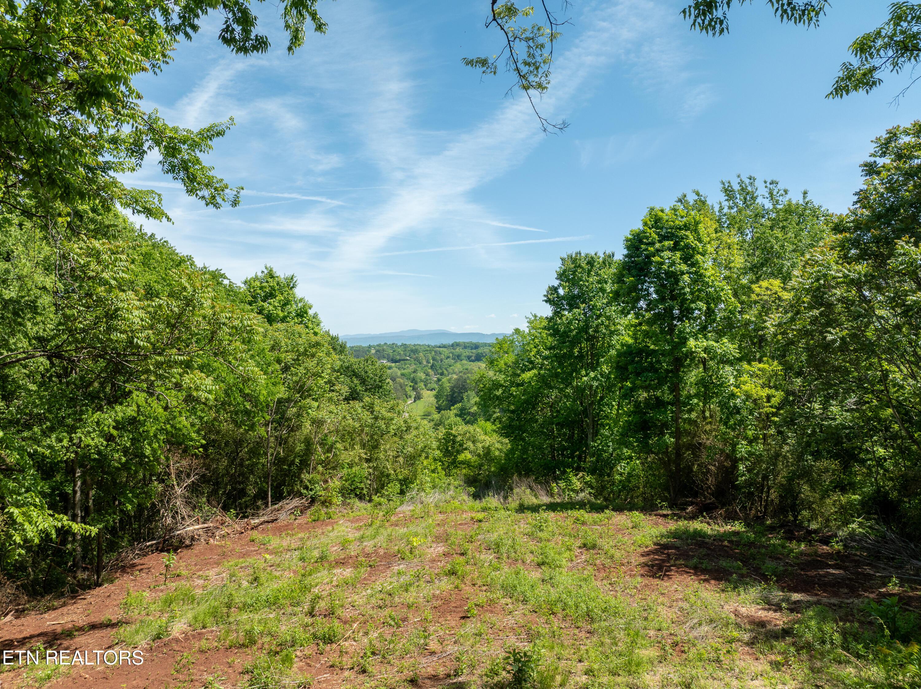 Image 2: DJI_0069-HDR