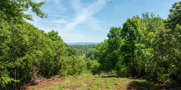 Image 2: DJI_0069-HDR