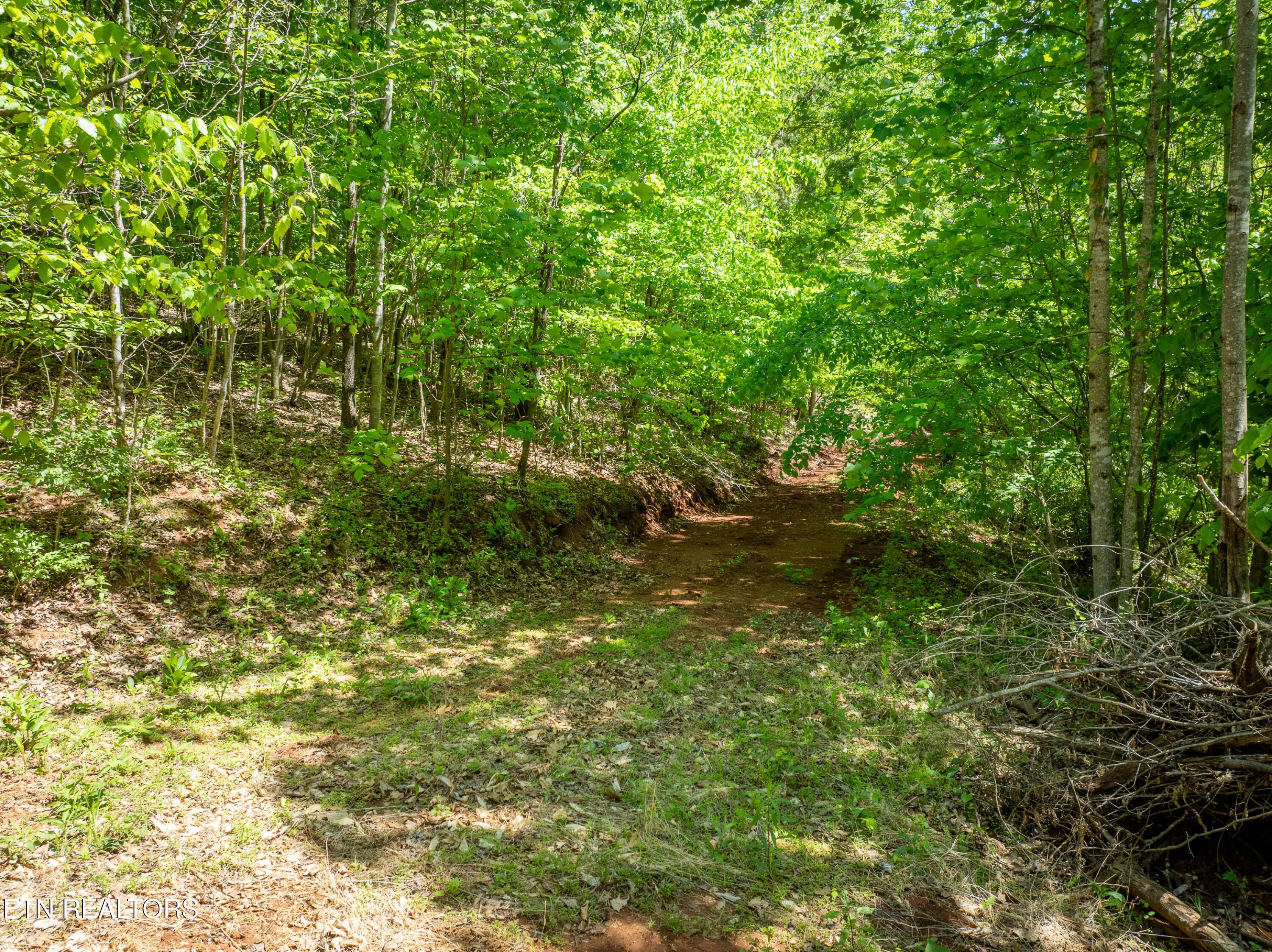 Image 4: DJI_0079-HDR