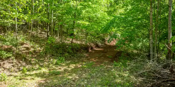 Image 4: DJI_0079-HDR