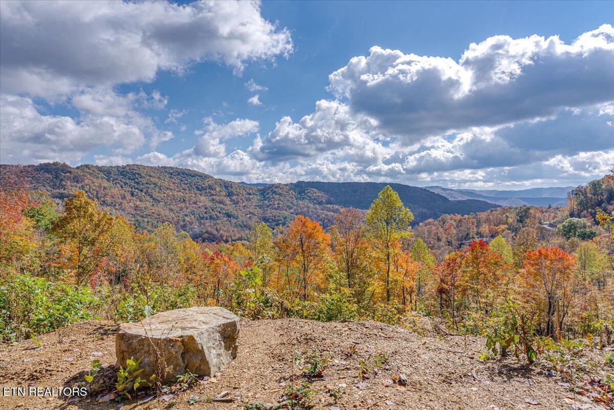 Image 1: 33-Walkthrough A10