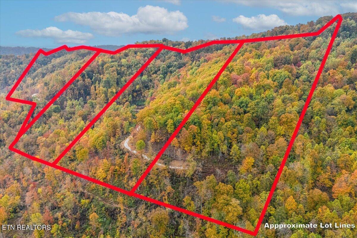 Image 2: 01-Front View A1