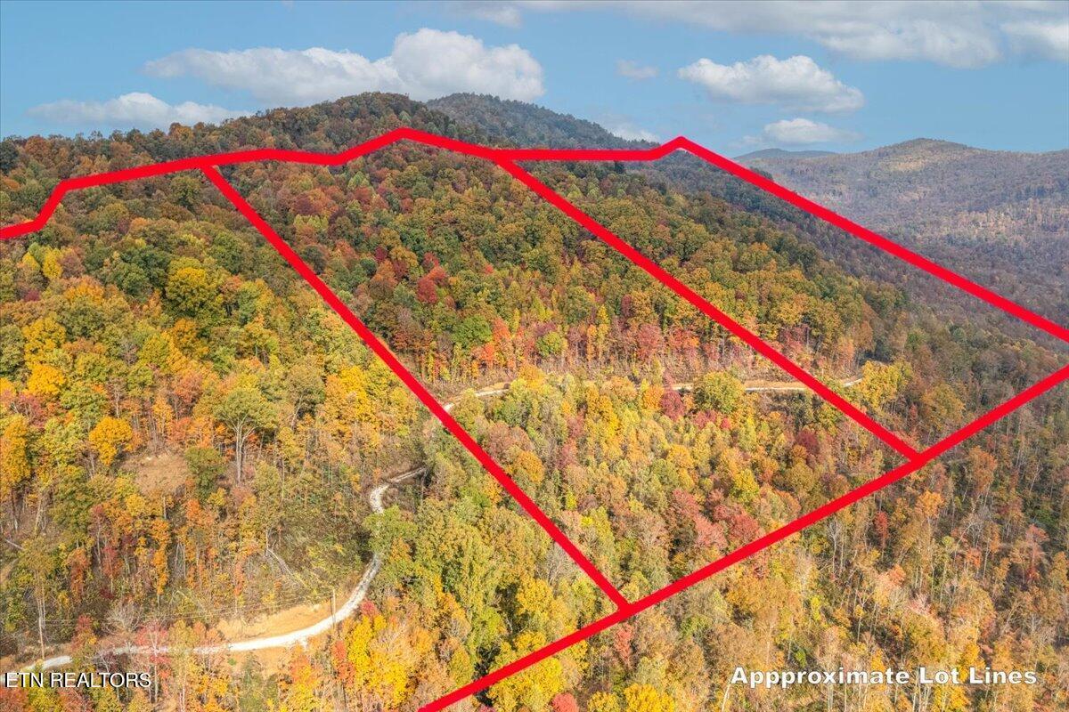 Image 3: 12-Lot Line A10