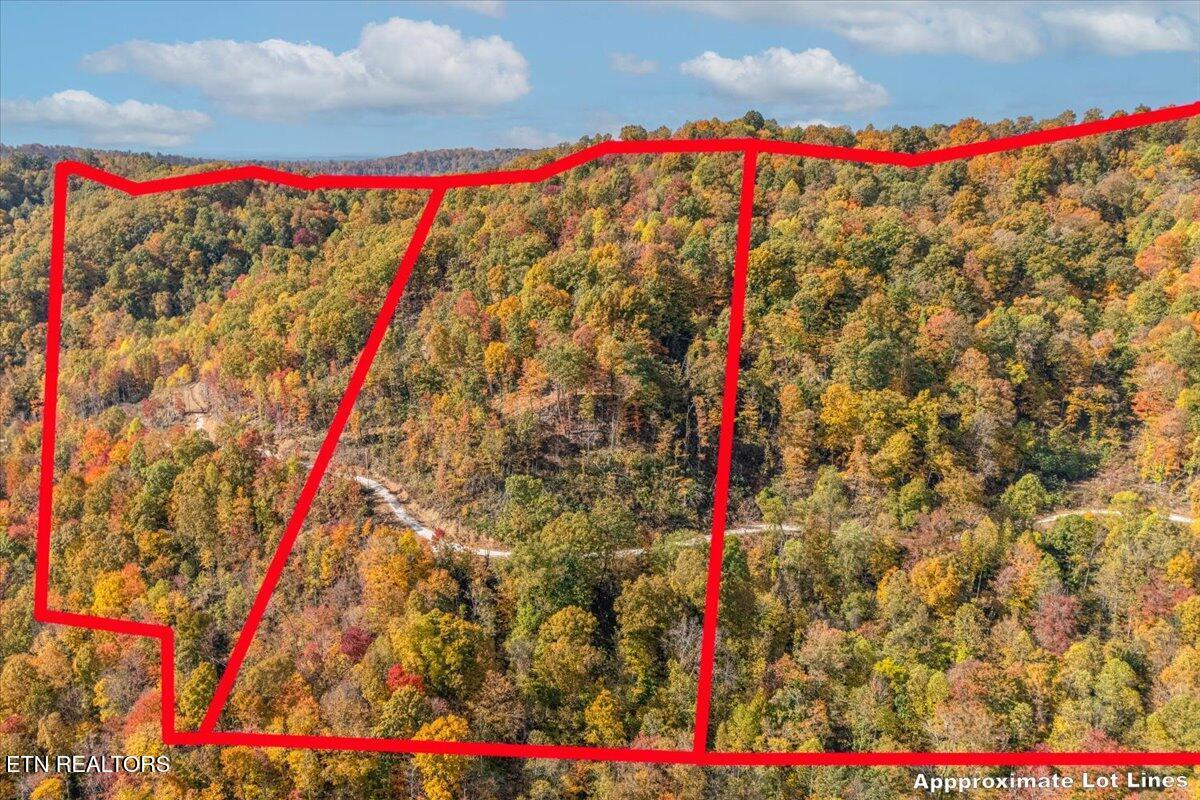 Image 4: 10-Lot Line A8